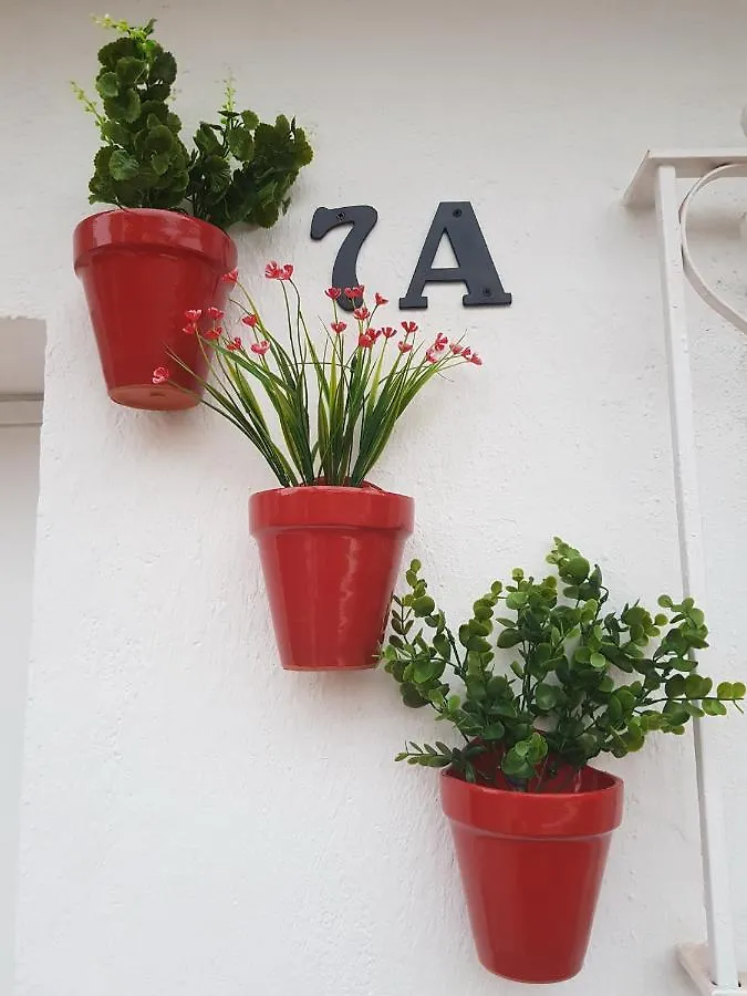 Apartamento Las Tres Macetas Málaga