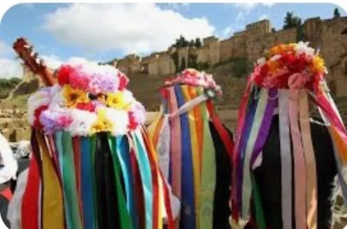Las Tres Macetas Malaga 0*,